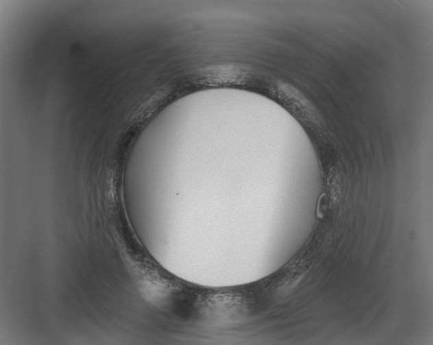 X0000082160546200702092220