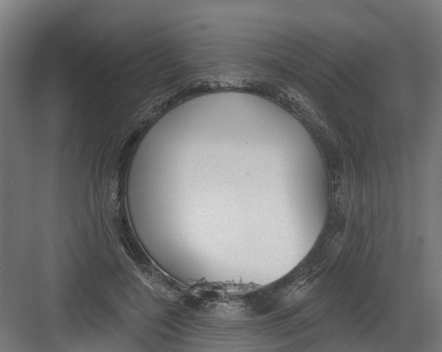 X0000082160548200702092220