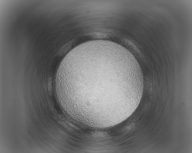 X0000082160549200702092220