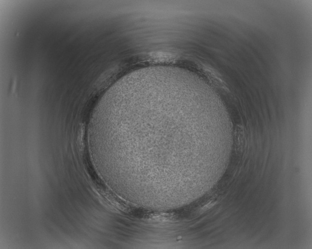 X0000082160550200702092220