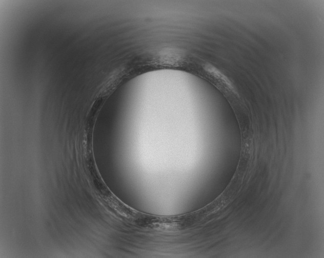 X0000082160552200702092220