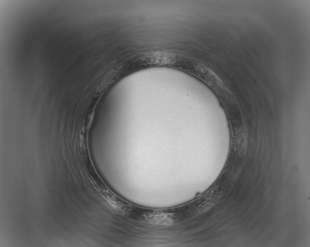 X0000082160553200702092220