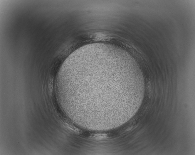 X0000082160554200702092220