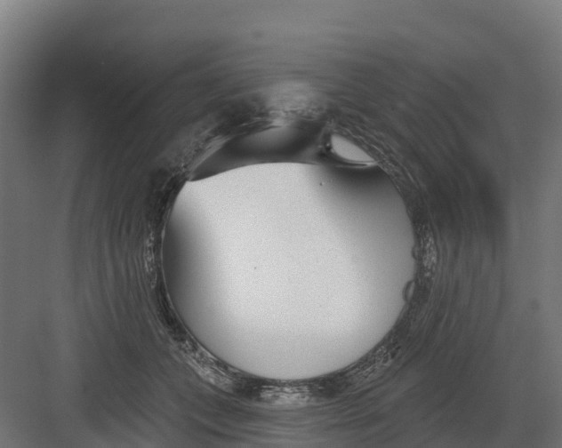 X0000082160559200702092220