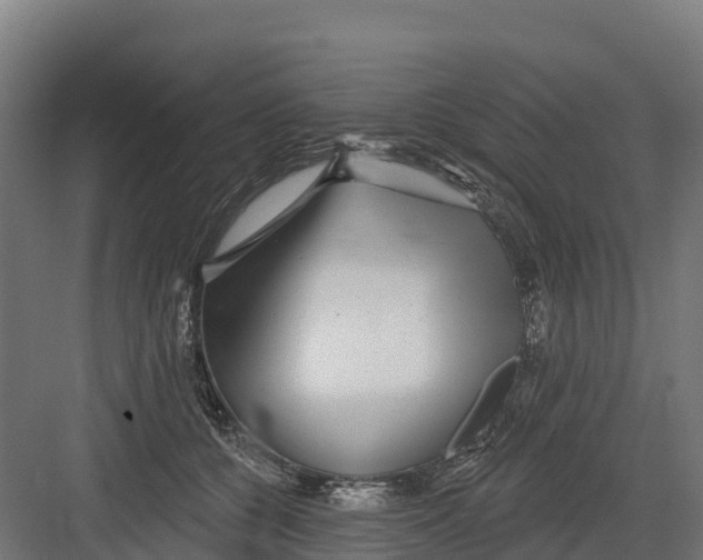 X0000082160560200702092220