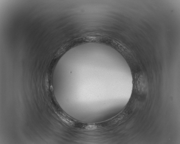 X0000082160562200702092220