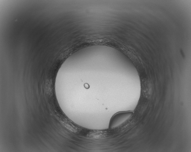 X0000082160563200702092220