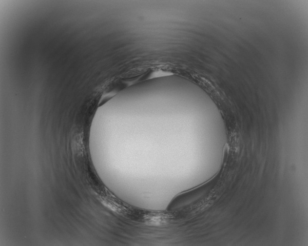 X0000082160564200702092220