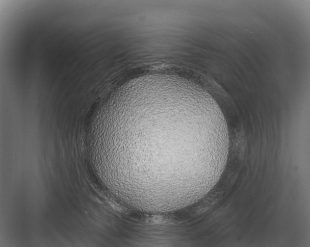 X0000082160565200702092220