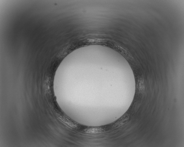 X0000082160567200702092221