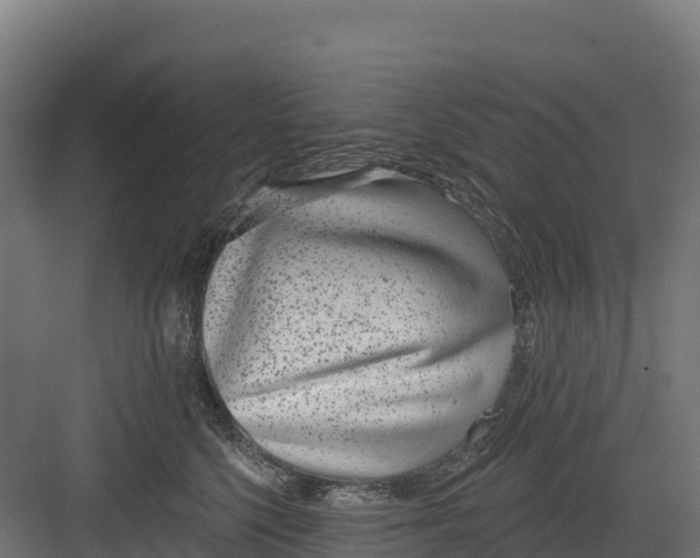 X0000082160568200702092221