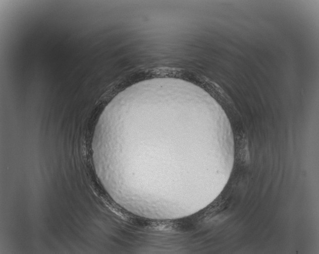 X0000082160569200702092221