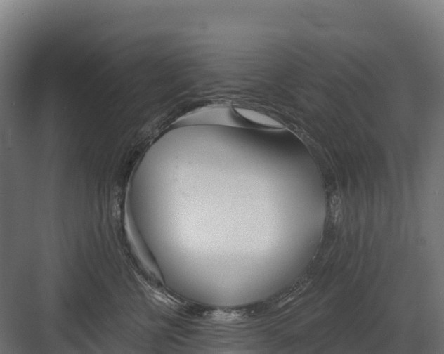 X0000082160570200702092221