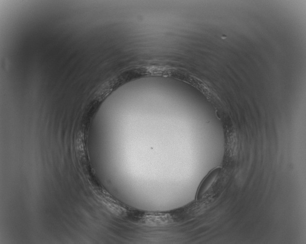 X0000082160571200702092221