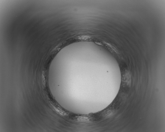 X0000082160572200702092221