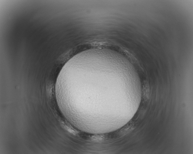 X0000082160574200702092221