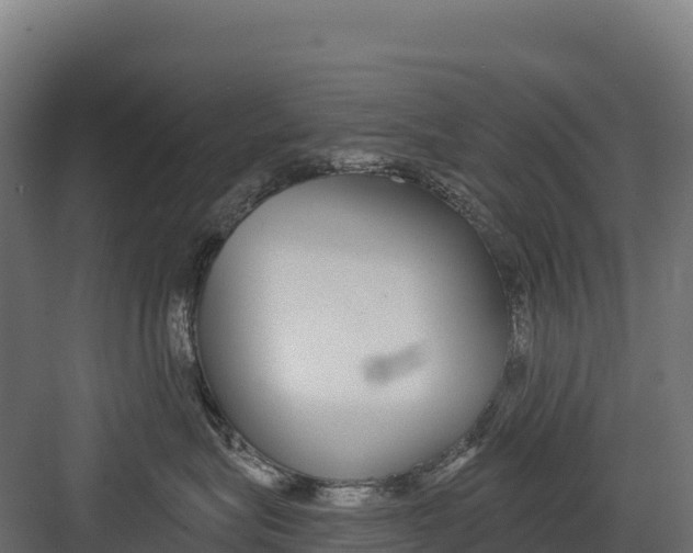 X0000082160575200702092221