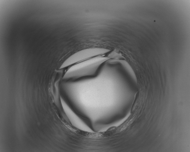 X0000082160576200702092221