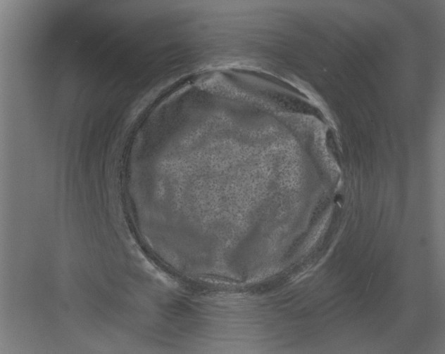 X0000082160577200702092220