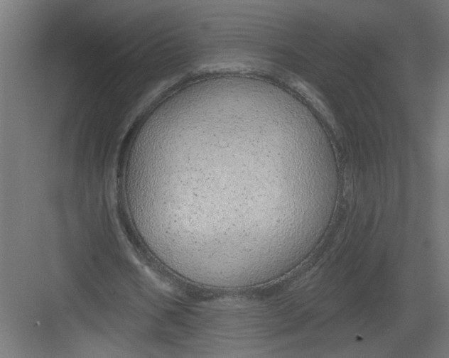 X0000082160578200702092220