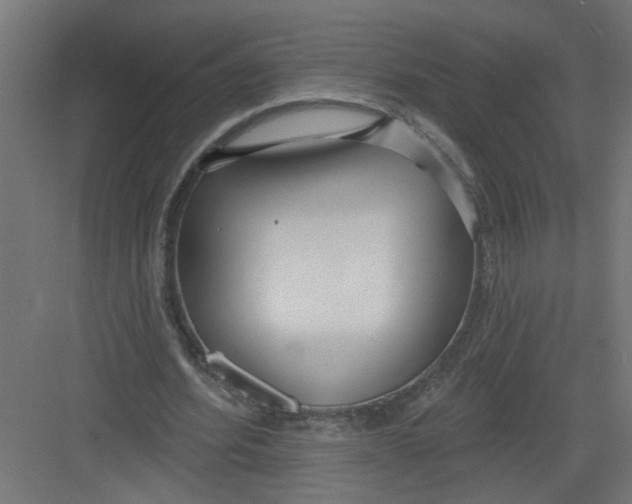 X0000082160580200702092220