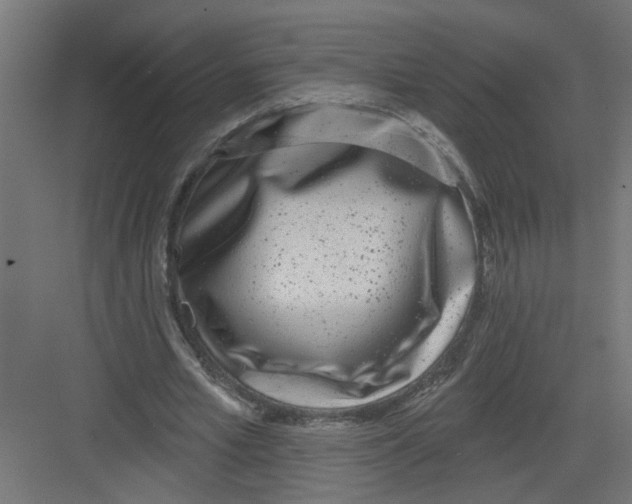 X0000082160581200702092220