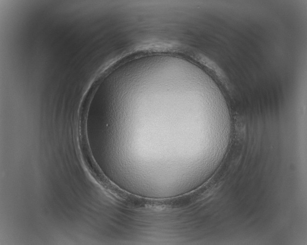 X0000082160582200702092220