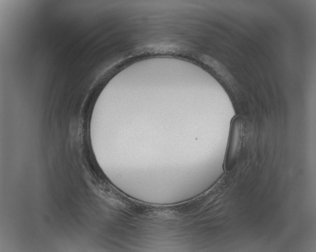 X0000082160583200702092220