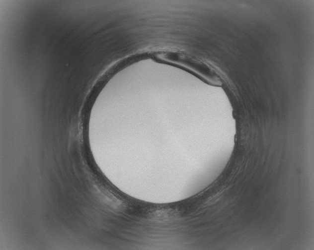 X0000082160584200702092220