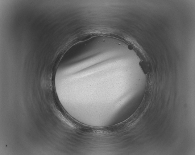 X0000082160585200702092220