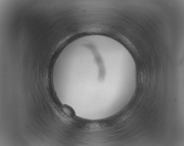 X0000082160588200702092220