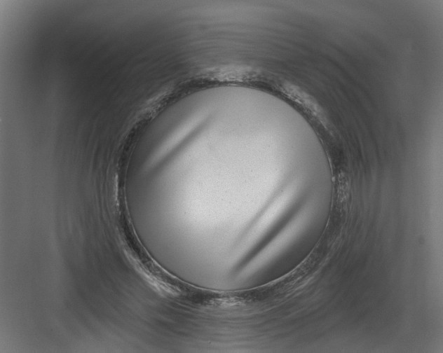 X0000082160589200702092220