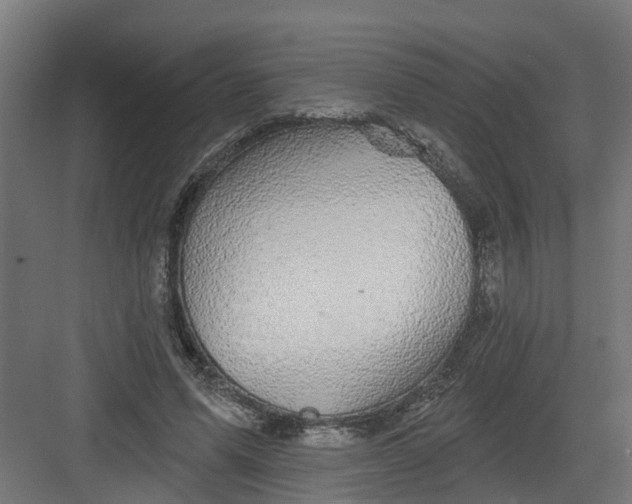 X0000082160591200702092220