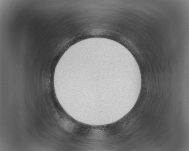 X0000082160592200702092220