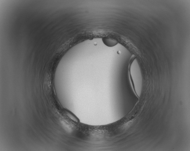 X0000082160593200702092220