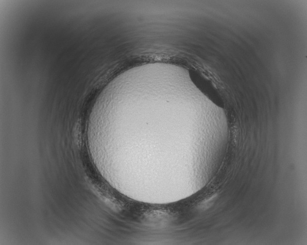 X0000082160594200702092220