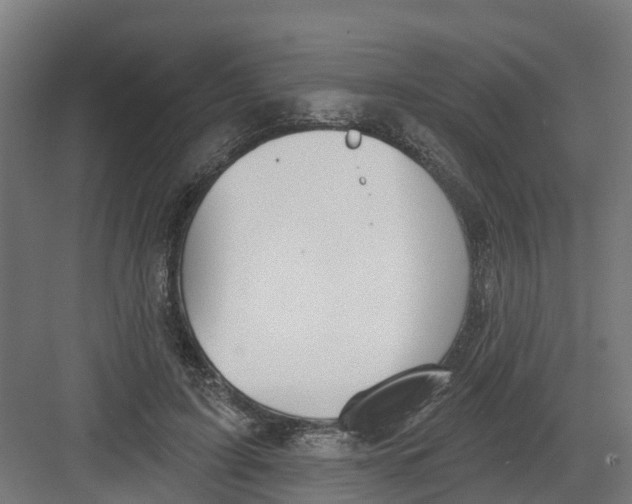 X0000082160595200702092220