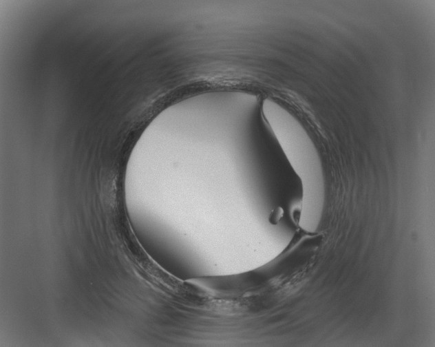 X0000082160596200702092220