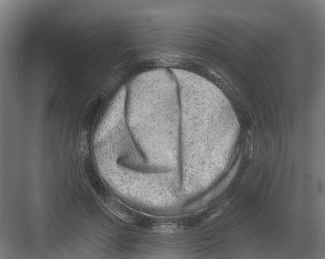 X0000082160598200702092220