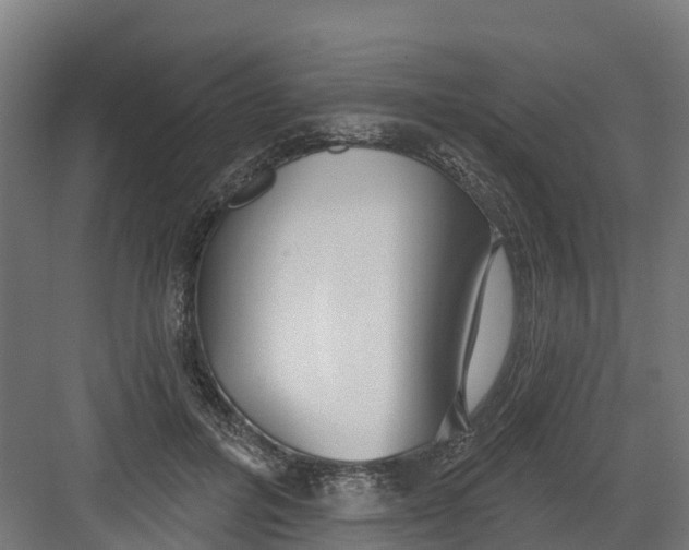 X0000082160600200702092219