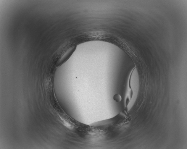 X0000082160601200702092219