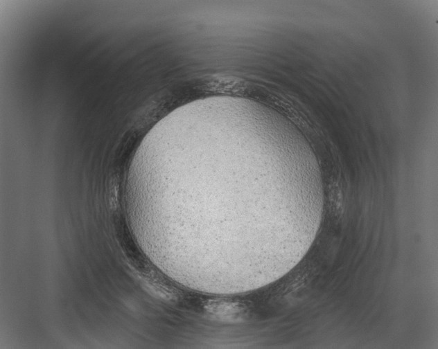 X0000082160602200702092219