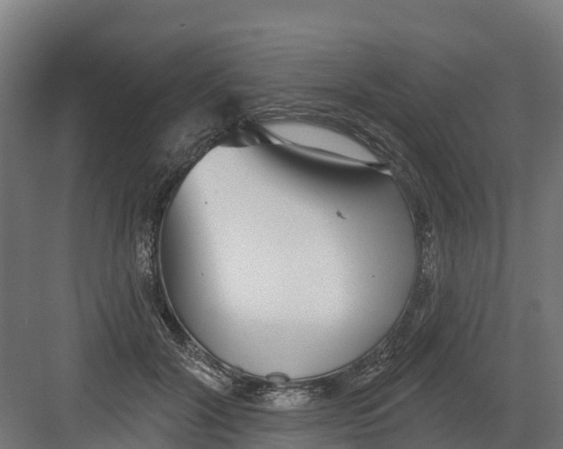 X0000082160604200702092219