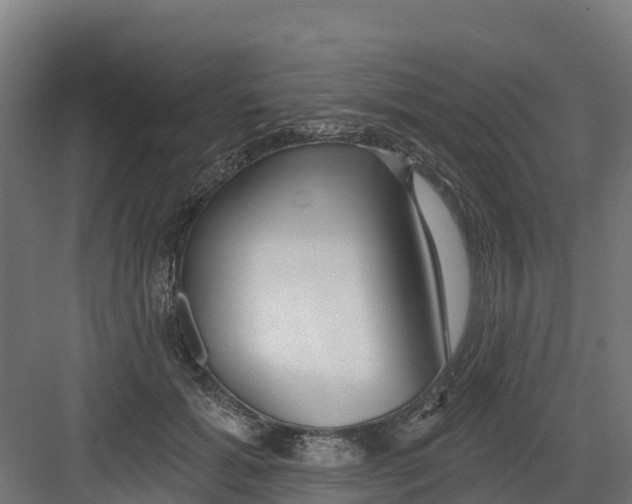 X0000082160605200702092219