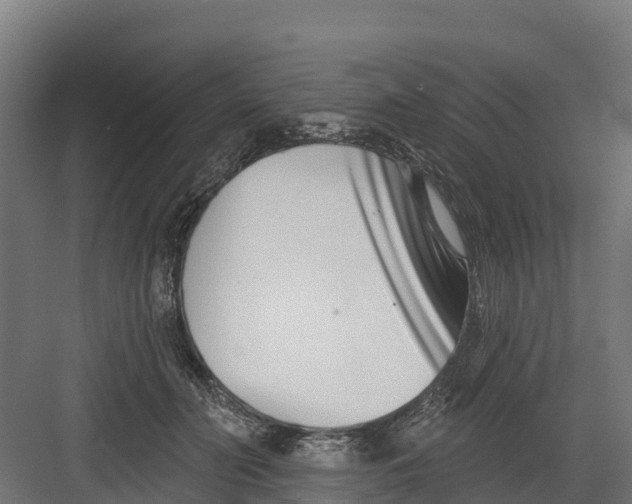 X0000082160606200702092219