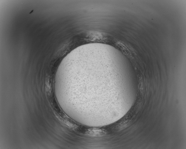 X0000082160607200702092219