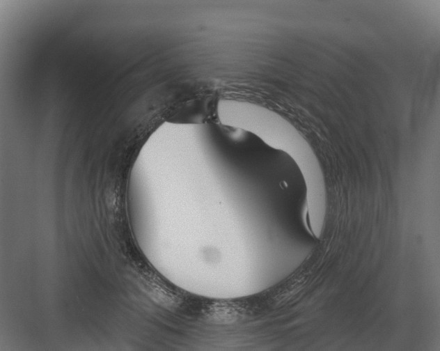 X0000082160608200702092219