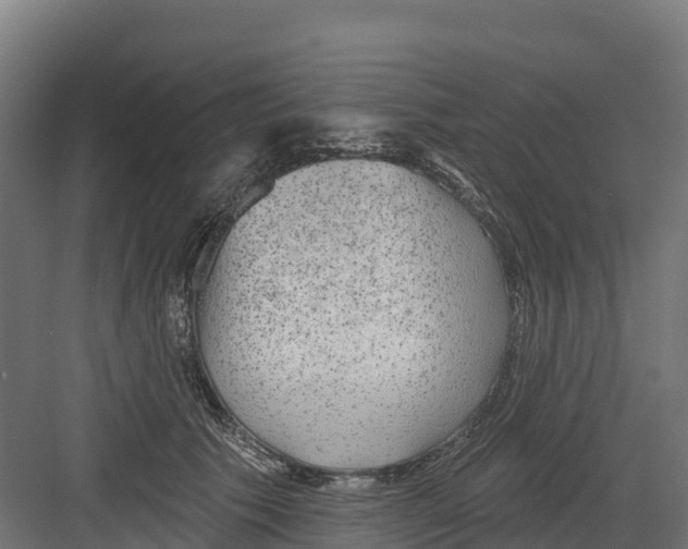 X0000082160609200702092219