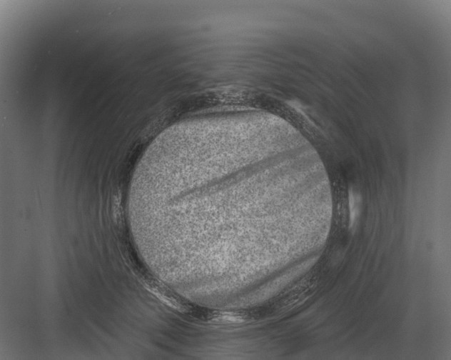 X0000082160610200702092219