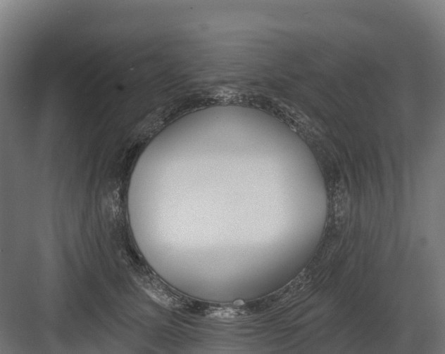 X0000082160611200702092219